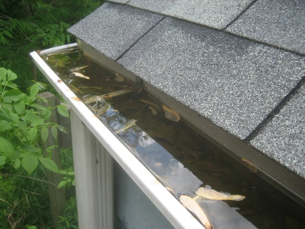 Gutter Cleaning in Wheldrake