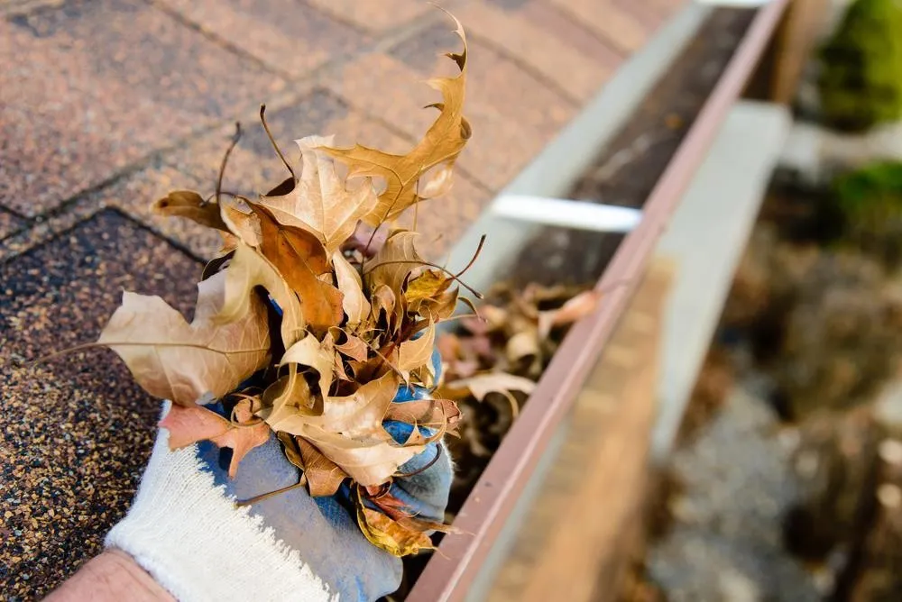 Blocked Gutters in Huntington
