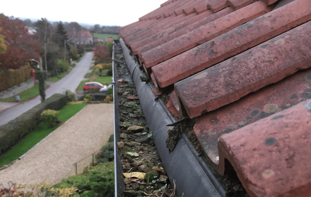 dirty gutter in need of cleaning in malton or beverly