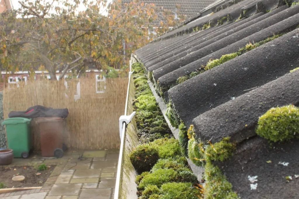 Gutter Cleaning in Barlby