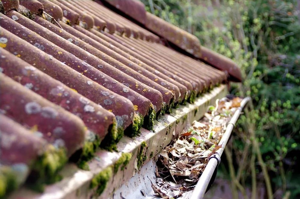 Blocked Gutters in Upper Poppleton