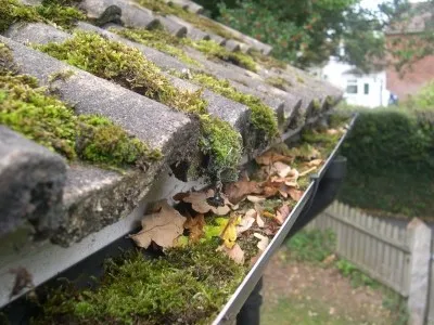 Gutter Cleaning in Wistow